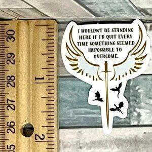 🌀10/$10🌀 Fantasy Wing Reusable Waterproof Sticker Decal